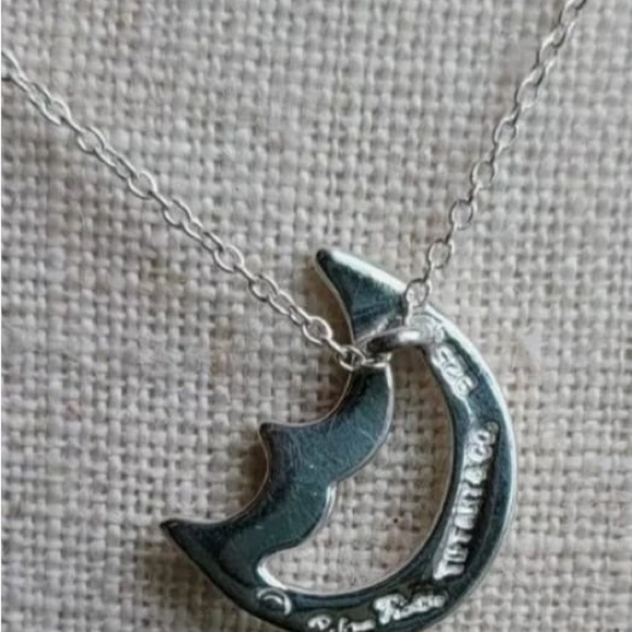 Tiffany & Co. Silver Moon Necklace - Picture 7 of 11